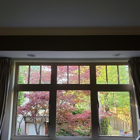 Elegant, Sunny Modern Home With Skylights - Kitsilano, Vancouver Ngoại thất bức ảnh